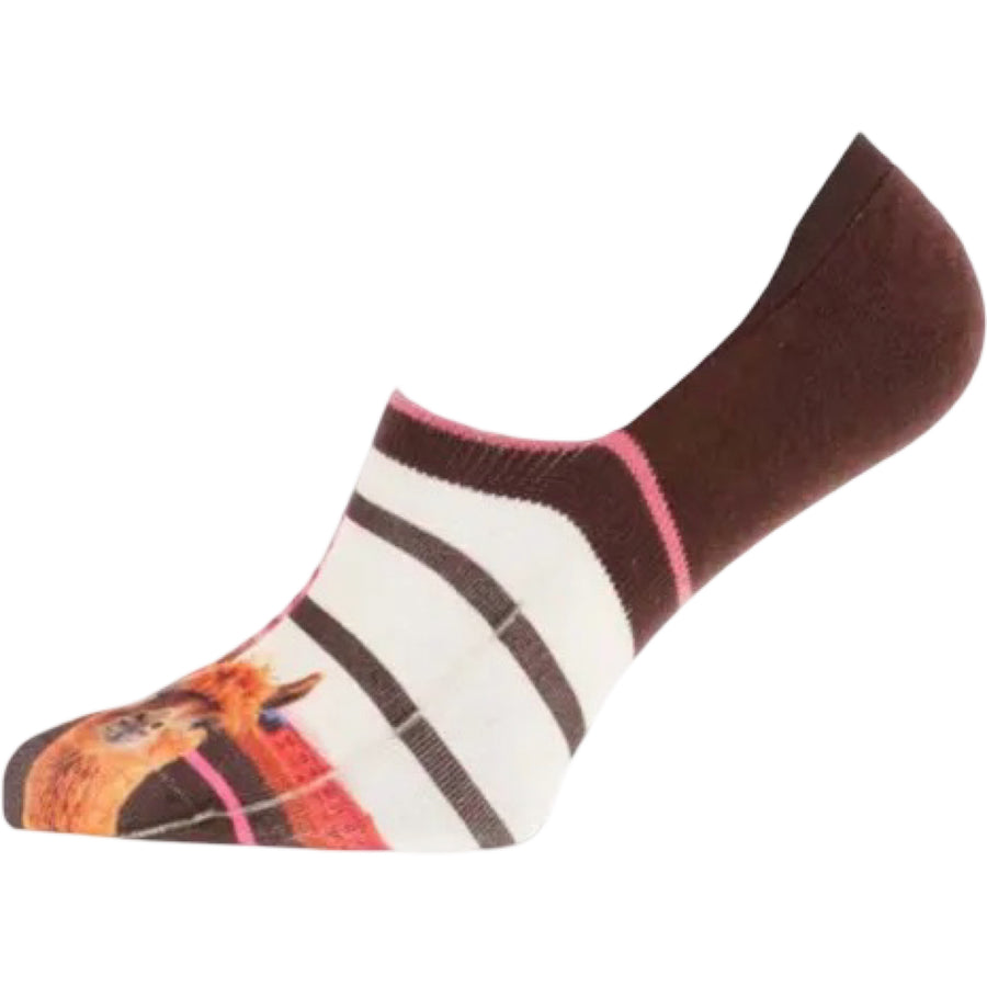 BAS FOOTIES PISA