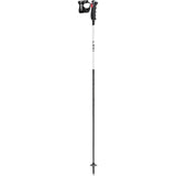 CARBON 14 3D WS